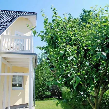Apartment Schwalbennest *